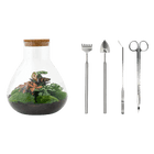 Sam XL Rood Terrarium