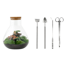 Sam XL Rood Terrarium