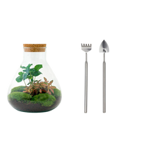Sammie Coffea Terrarium