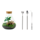 Sammie Coffea Terrarium