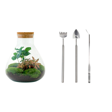 Sammie Coffea Terrarium