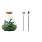 Sammie Terrarium