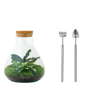 Sammie Terrarium