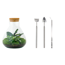 Sammie Terrarium
