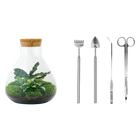 Sammie Terrarium