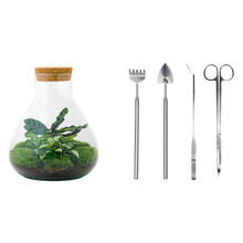 Sammie Terrarium