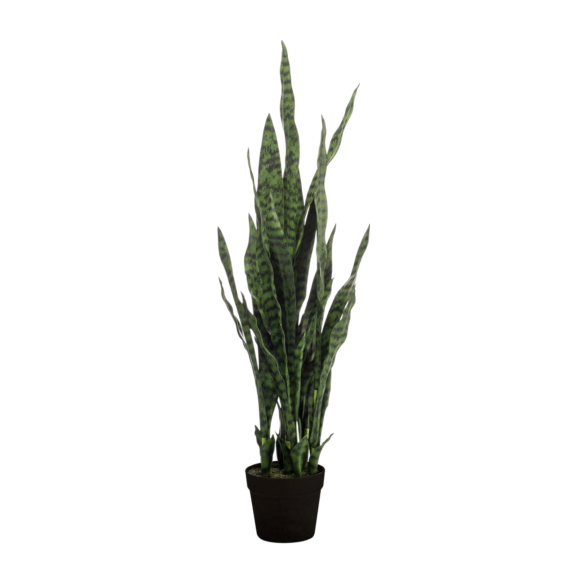 Sansevieria Black Coral Kunstplant (Vrouwentong)