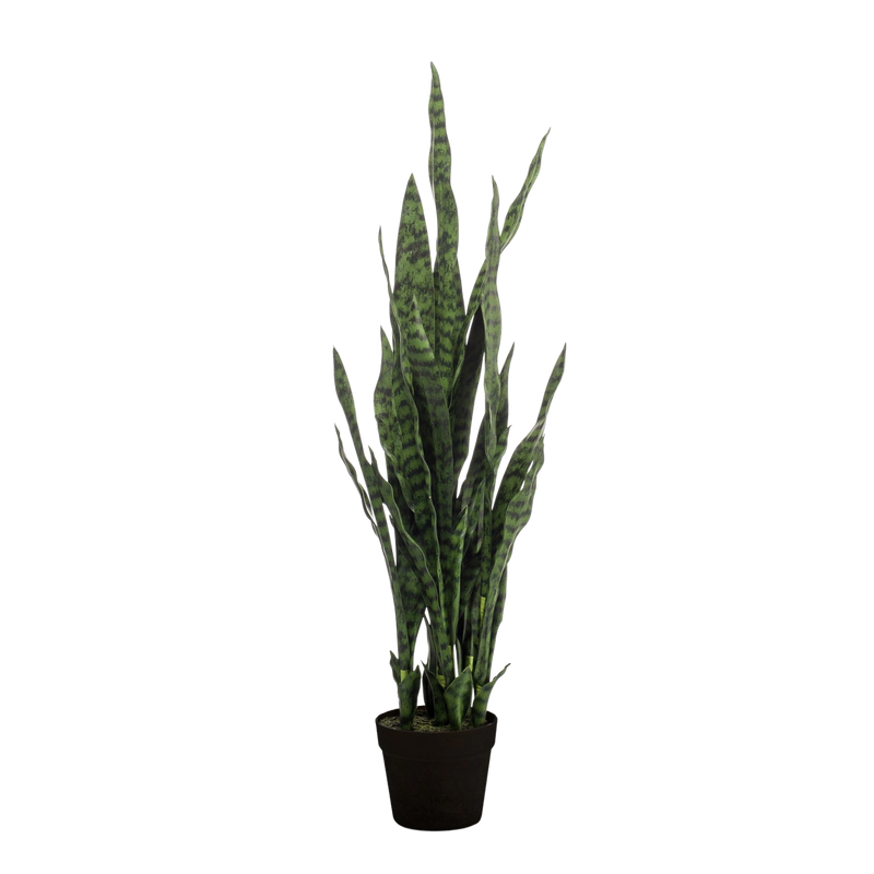 Sansevieria Black Coral Kunstplant (Vrouwentong)
