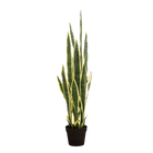Sansevieria Trifasciata Kunstplant (Vrouwentong)