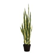 Sansevieria Trifasciata Kunstplant (Vrouwentong)