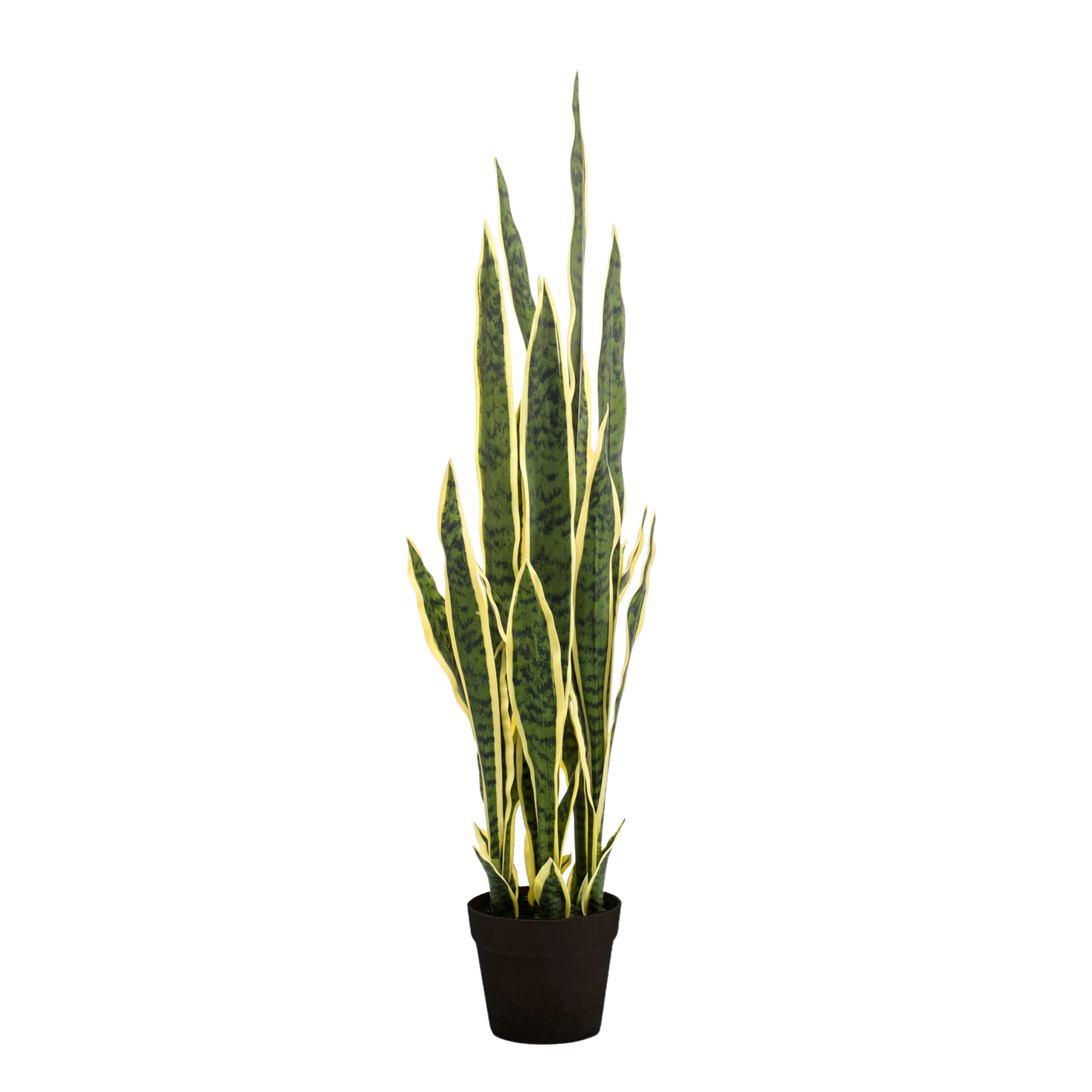 Sansevieria Trifasciata Kunstplant (Vrouwentong)