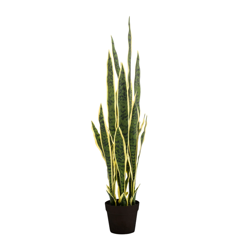 Sansevieria Trifasciata Kunstplant (Vrouwentong)
