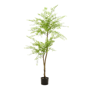 Sophora Tree Kunstplant (Honingboom)