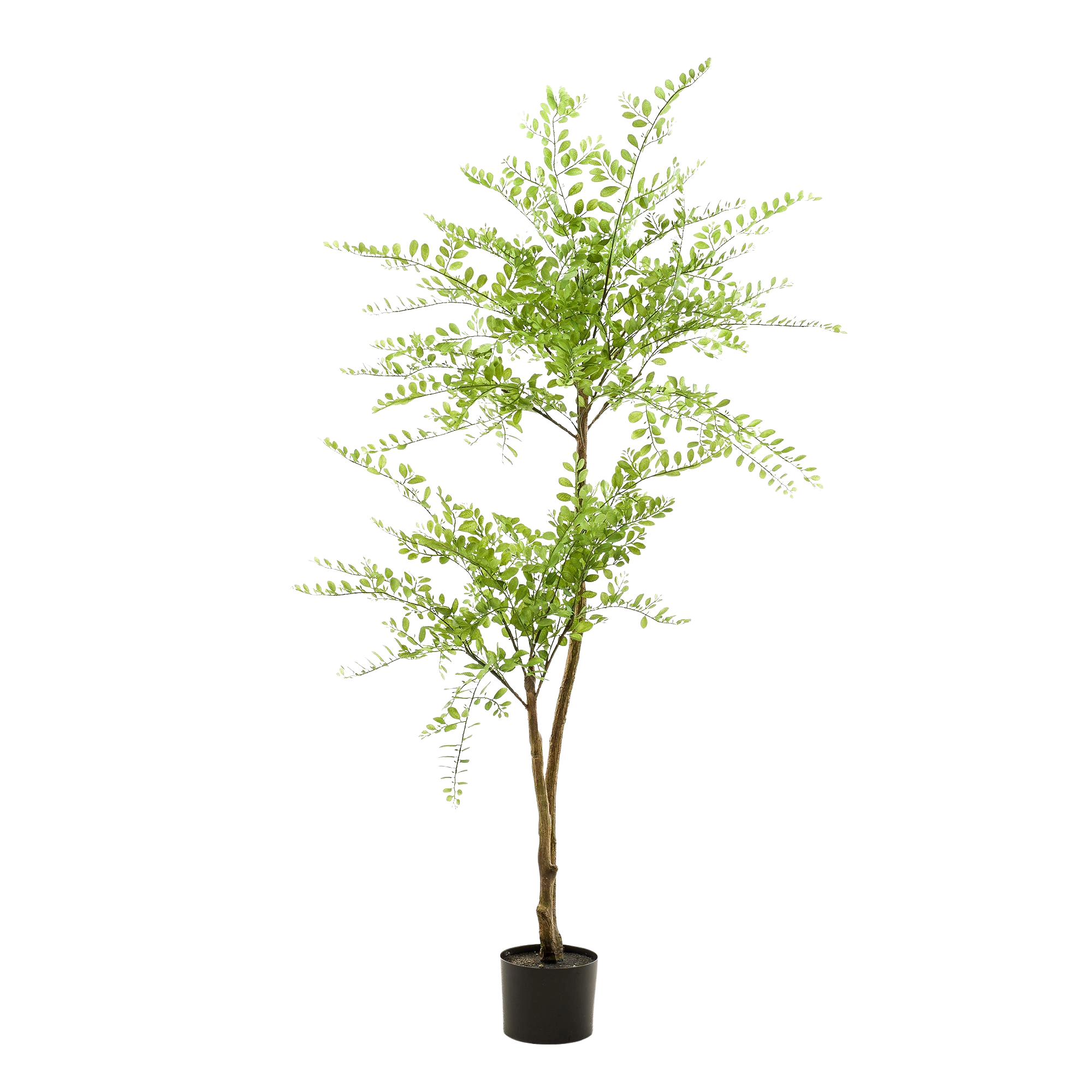 Sophora Tree Kunstplant (Honingboom)