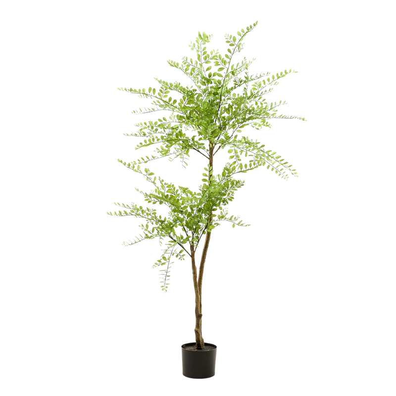 Sophora Tree Kunstplant (Honingboom)