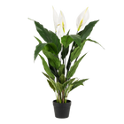 Spathiphyllum Kunstplant (Lepelplant) Everspring