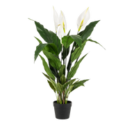 Spathiphyllum Kunstplant (Lepelplant) Everspring