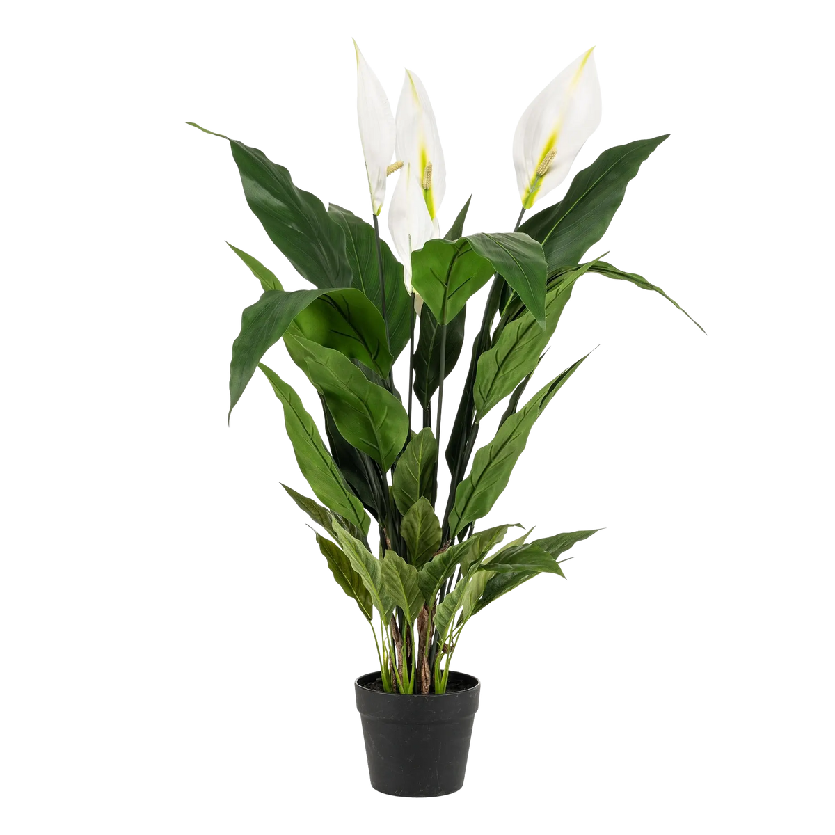 Spathiphyllum Kunstplant (Lepelplant) Everspring