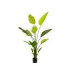 Strelitzia Nicolai Kunstplant (Paradijsvogelbloem)