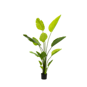 Strelitzia Nicolai Kunstplant (Paradijsvogelbloem)