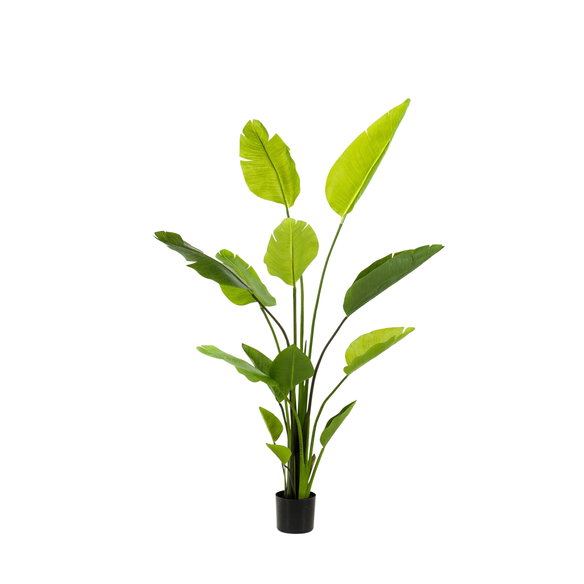 Strelitzia Nicolai Kunstplant (Paradijsvogelbloem)