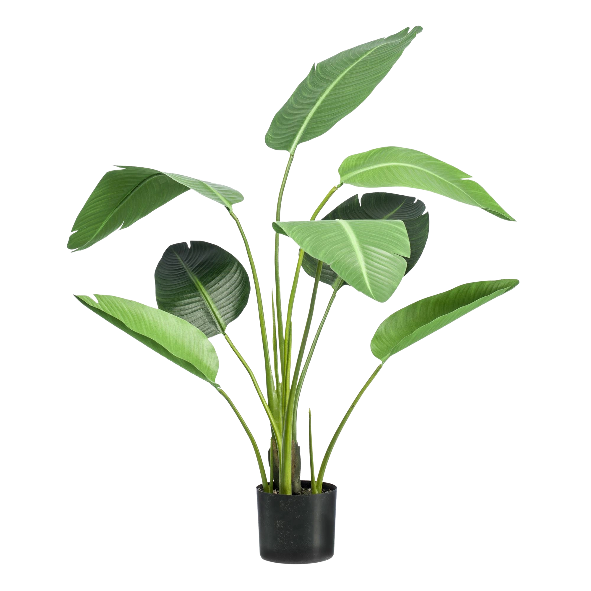 Strelitzia Nicolai Kunstplant (Paradijsvogelbloem)