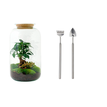 Sven Bonsai Terrarium