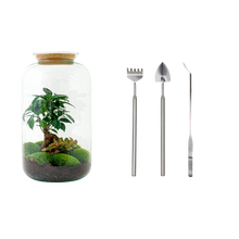 Sven Bonsai Terrarium