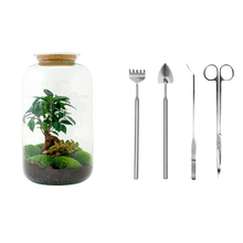 Sven Bonsai Terrarium