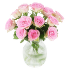 Sweet Roses - Roze Rozen in Brievenbuspakket