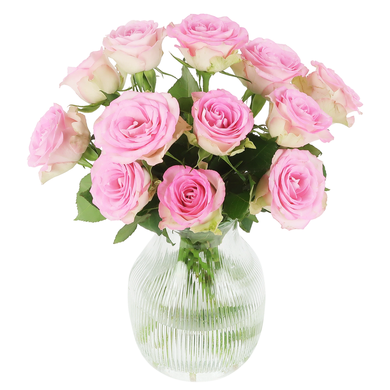 Sweet Roses - Roze Rozen in Brievenbuspakket