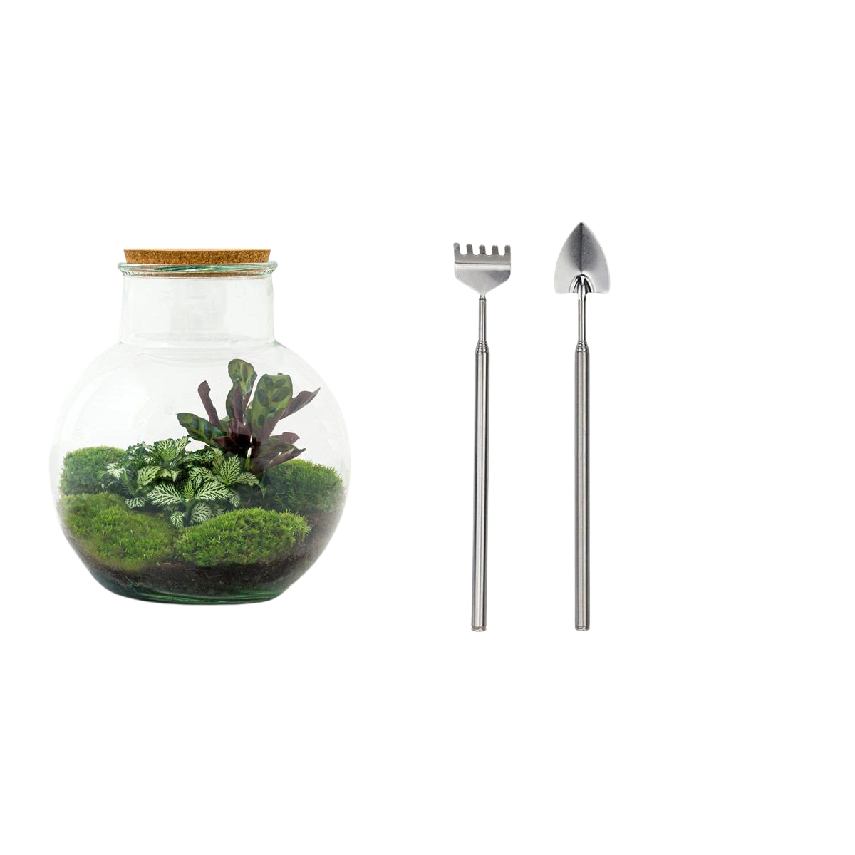 Teddy Terrarium