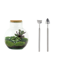Teddy Terrarium