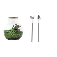 Teddy Terrarium