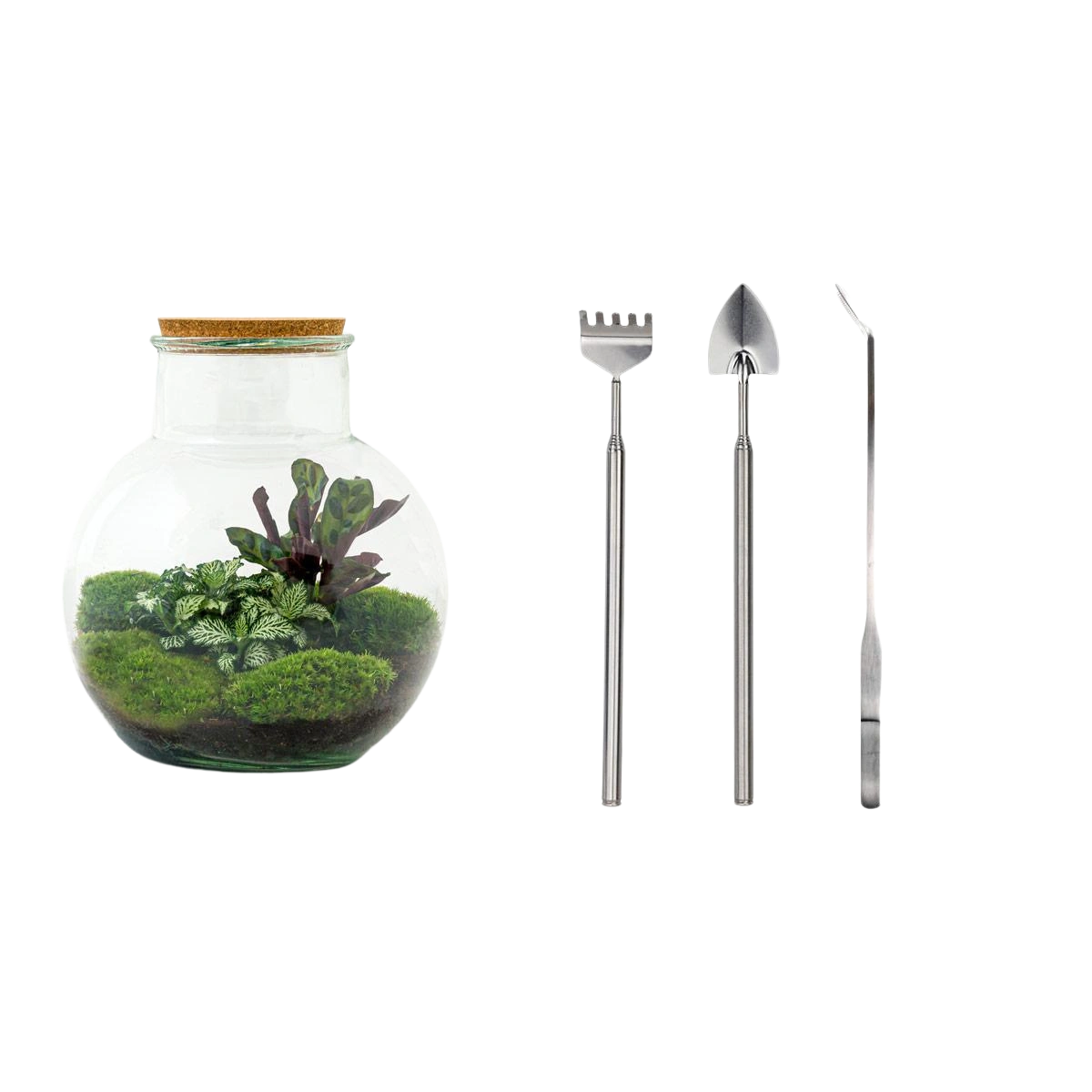 Teddy Terrarium