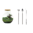 Teddy Terrarium
