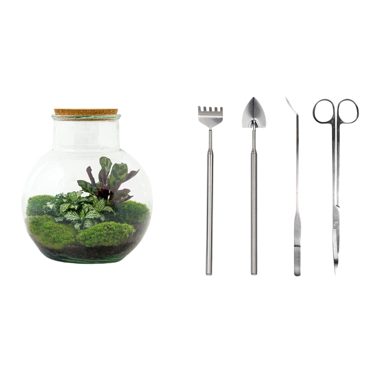 Teddy Terrarium