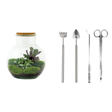 Teddy Terrarium