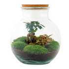 Teddy bonsai Terrarium