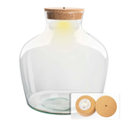 Terrarium fles met kurk - Fat Joe met led kurk