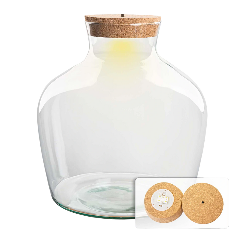 Terrarium fles met kurk - Fat Joe met led kurk