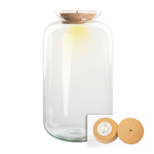 Terrarium fles met verlichting in kurk - Sven XL