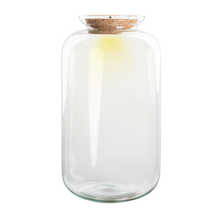 Terrarium fles met verlichting in kurk - Sven XL