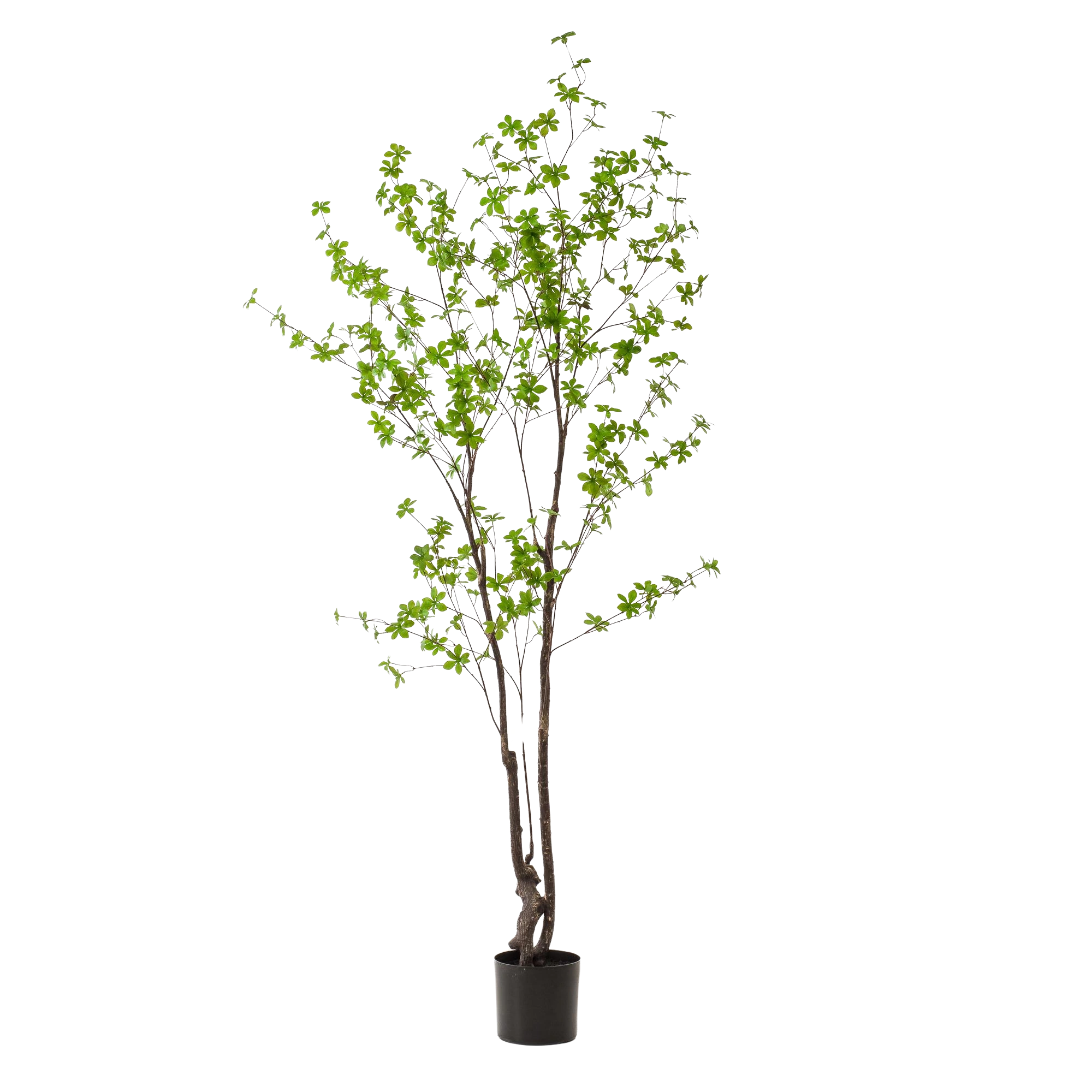 Tropaeolum Speciosum Kunstplant (Oost-Indische Kers)