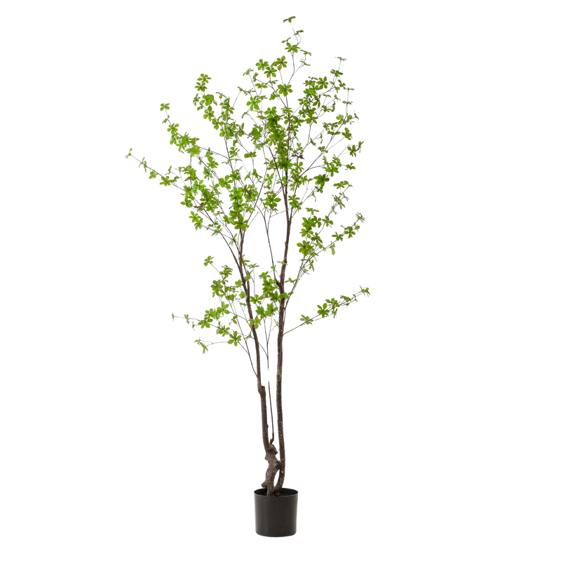 Tropaeolum Speciosum Kunstplant (Oost-Indische Kers)
