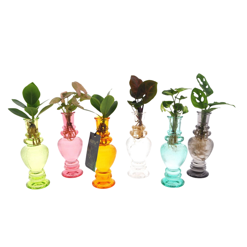 Venice Glas Mix
