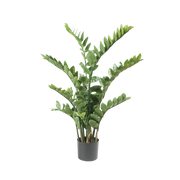Zamioculcas Kunstplant (Kamerpalm)