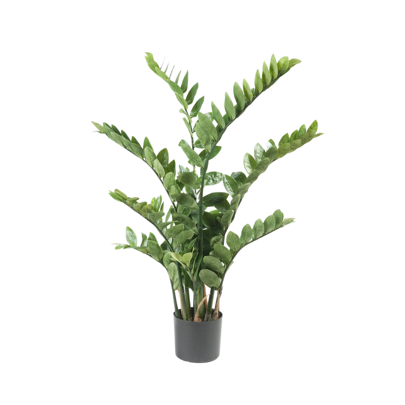 Zamioculcas Kunstplant (Kamerpalm)