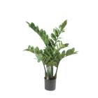 Zamioculcas Kunstplant (ZZ Plant)