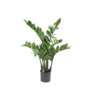 Zamioculcas Kunstplant (ZZ Plant)